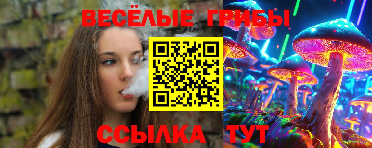 Ейск  Псилоцибиновые грибы мицелий  Вход с VPN 